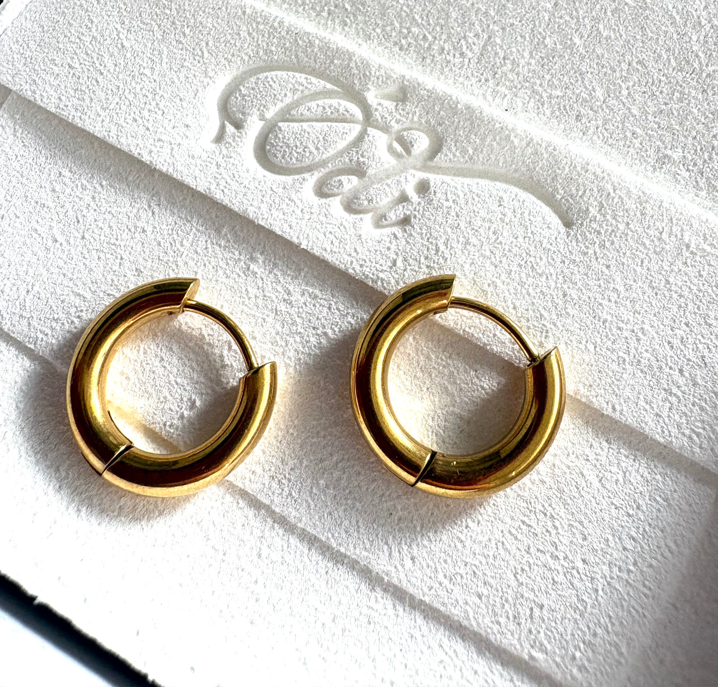 Plain & Layering Hoops Stainless Steel Gold