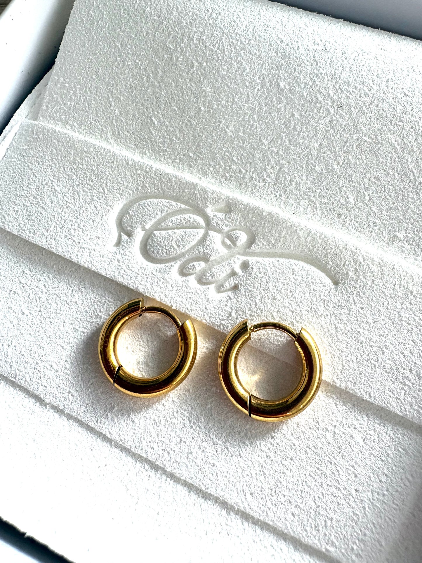 Plain & Layering Hoops Stainless Steel Gold